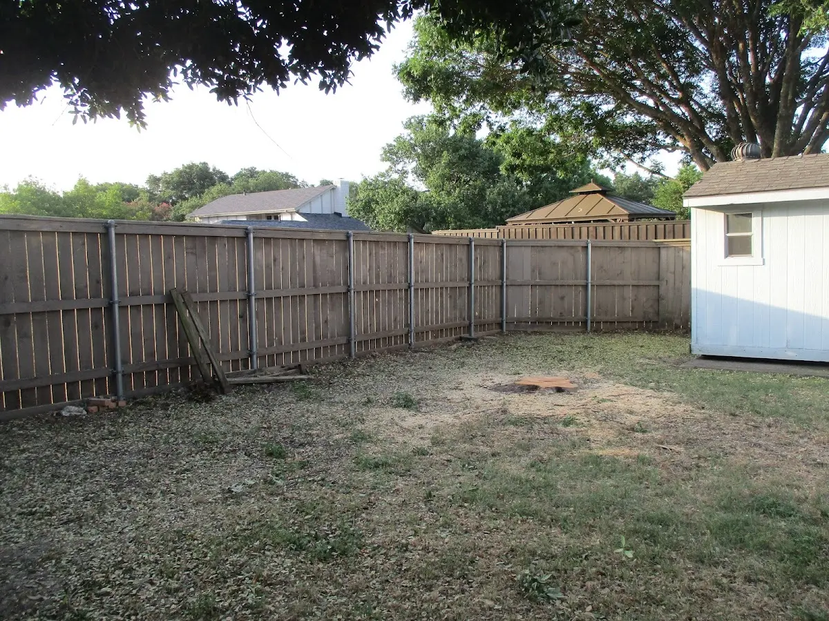 Cleared yard after professional tree removal in Fishers Landing