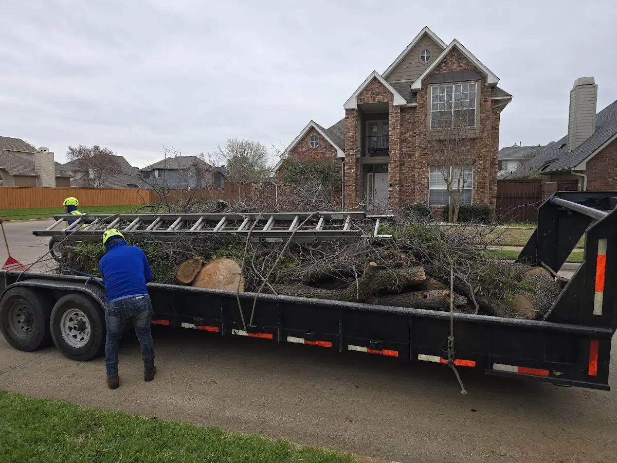 Expert Crown Reduction with proper safety equipment in Fishers Landing